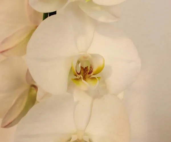 דירה Hrabar טרוגיר